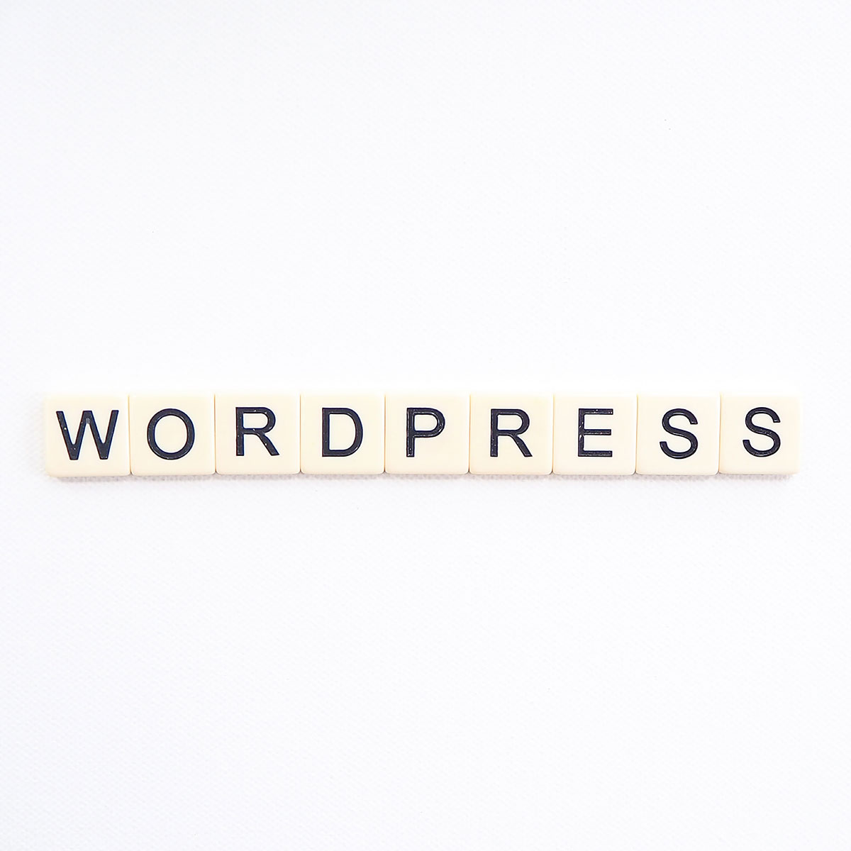 Wordpress Blog und Content Management System